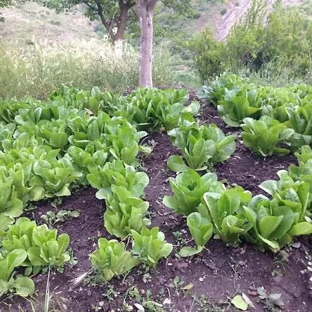 Krisafi Πανσιόν *